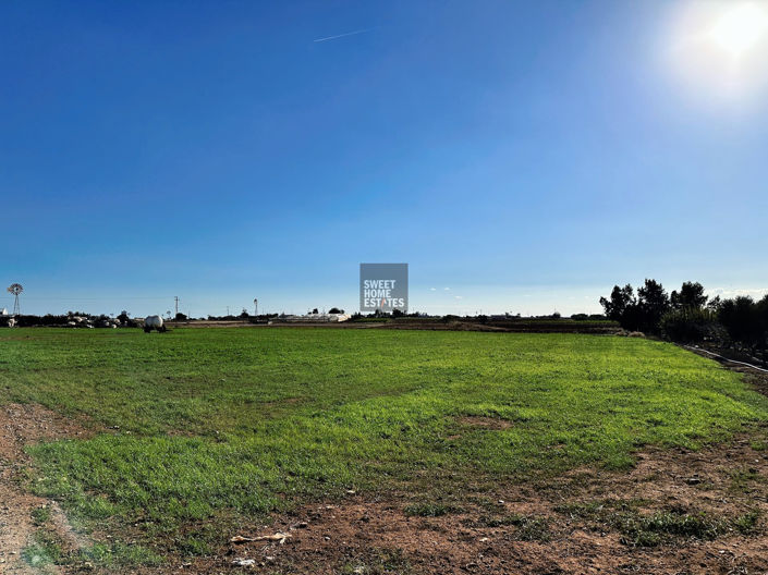 Image No.5-Land for sale