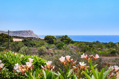 hd1080