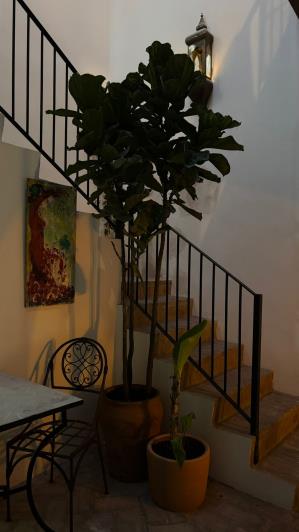 Image No.3-Maison de ville de 4 chambres à vendre à Vejer de la Frontera