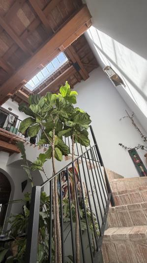 Image No.17-Maison de ville de 4 chambres à vendre à Vejer de la Frontera