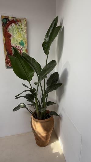 Image No.25-Maison de ville de 4 chambres à vendre à Vejer de la Frontera