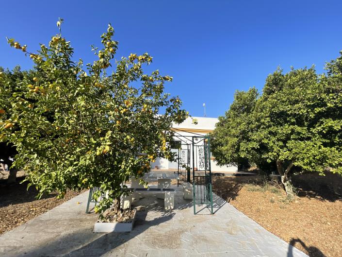 Image No.7-Country House for sale