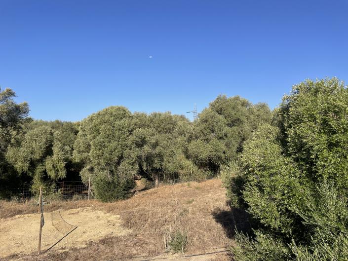 Image No.10-Country House for sale