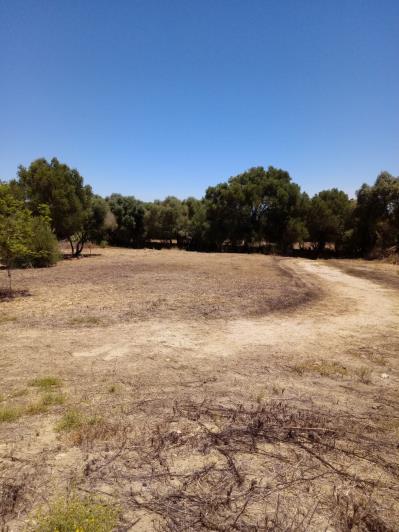 Image No.38-Country House for sale