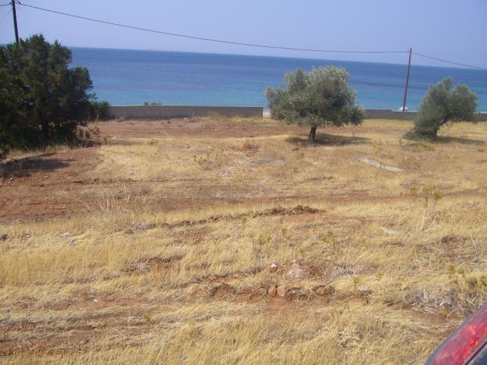 Image No.2-Land for sale