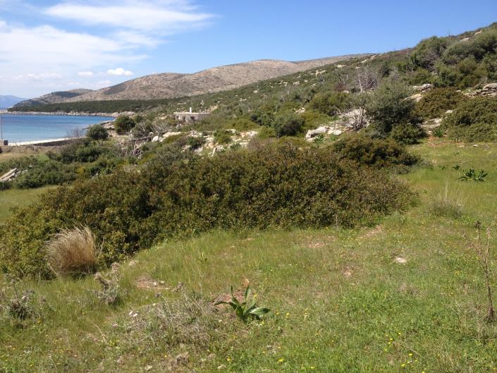 Image No.7-Land for sale