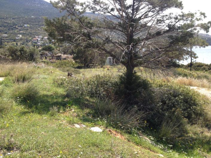 Image No.8-Land for sale