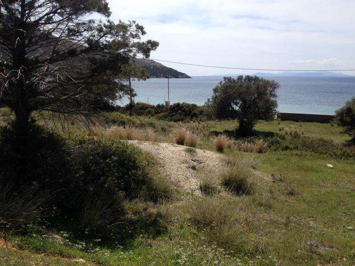 Image No.9-Land for sale