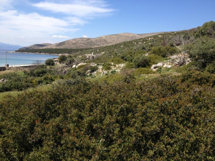 Image No.12-Land for sale