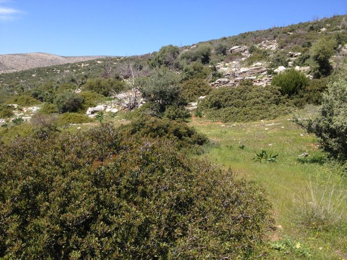 Image No.13-Land for sale