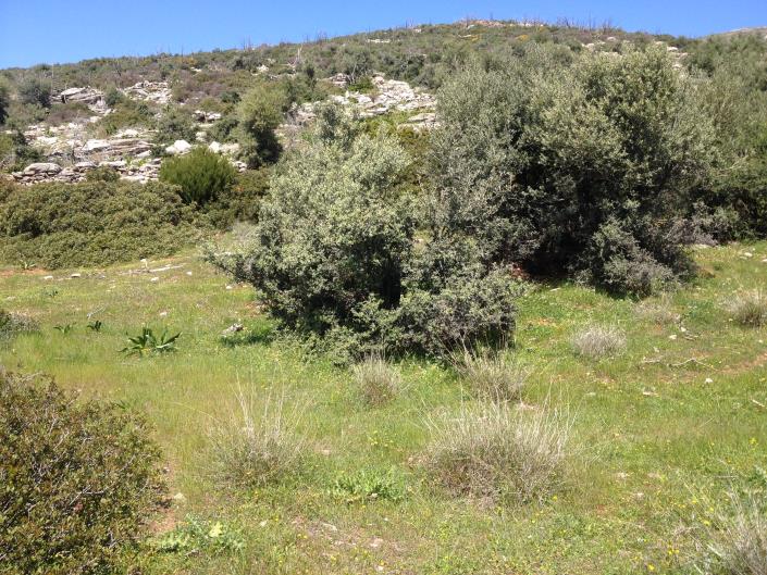 Image No.14-Land for sale