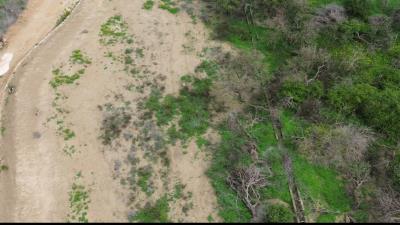 Screenshot_20250529_094216_Gallery