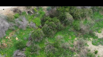 Screenshot_20250529_094229_Gallery