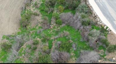 Screenshot_20250529_094258_Gallery