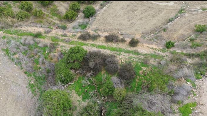 Image No.12-3 Bed Farmhouse for sale