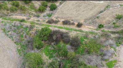 Screenshot_20250529_094308_Gallery