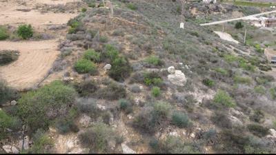 Screenshot_20250529_094424_Gallery