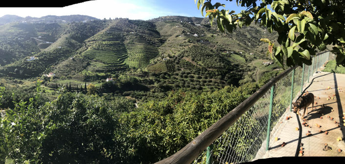 Image No.13-Propriété de 2 chambres à vendre à Frigiliana