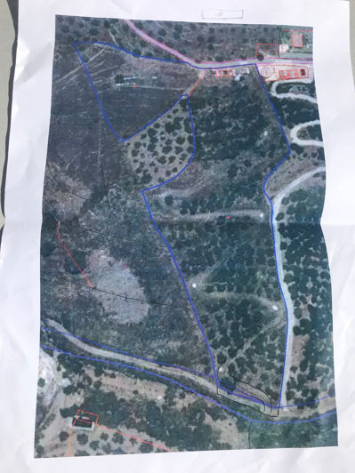 Image No.36-Propriété de 2 chambres à vendre à Frigiliana