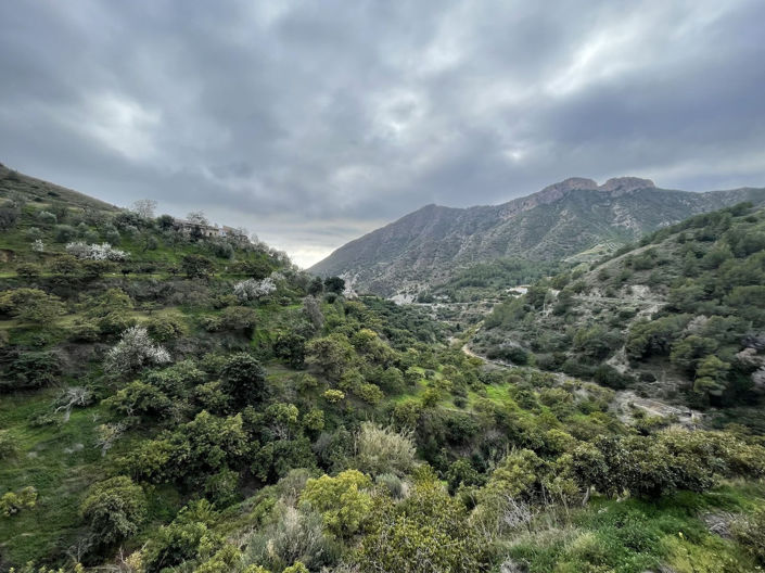 Image No.5-4 Bed Property for sale