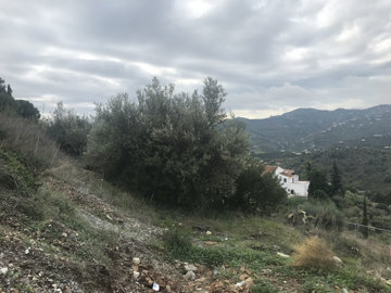 4-c23c0f86247804fa50226aecd8b0b2c8