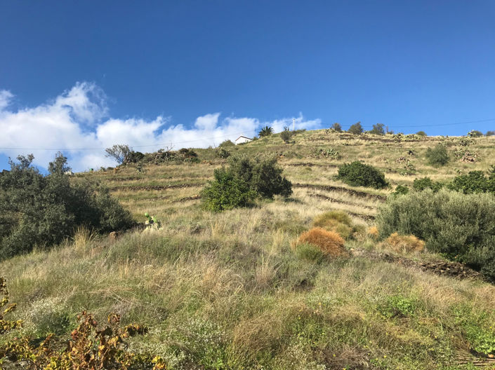 Image No.4-Property for sale