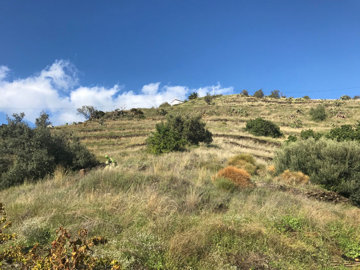 4-c23c0f86247804fa50226aecd8b0b2c8