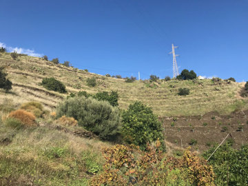 5-3595ad71cbd87be6c3643a4285ef4791