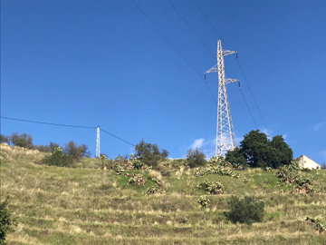 6-241328e1bcc9c0d8ce1222beb6c967a8