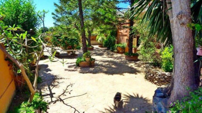 3-e898b2bb2a2fdfd06d2c39894dce8316