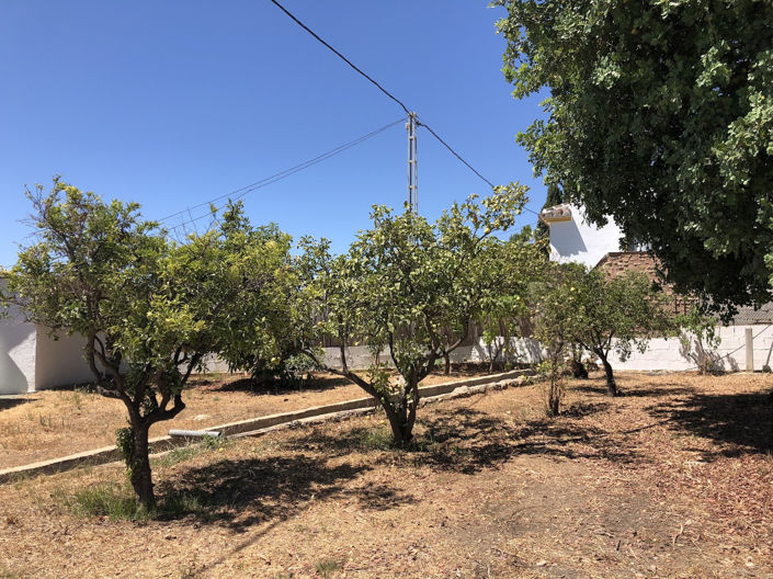 Image No.12-2 Bed Property for sale