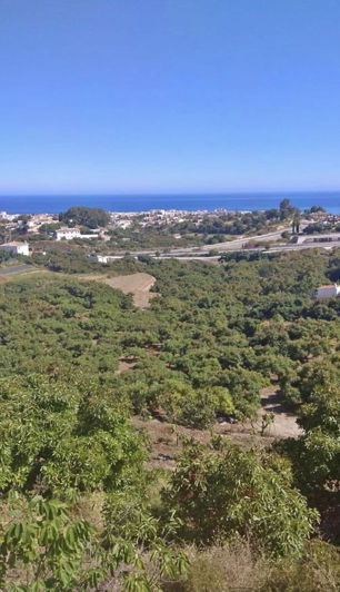 Image No.20-2 Bed Property for sale