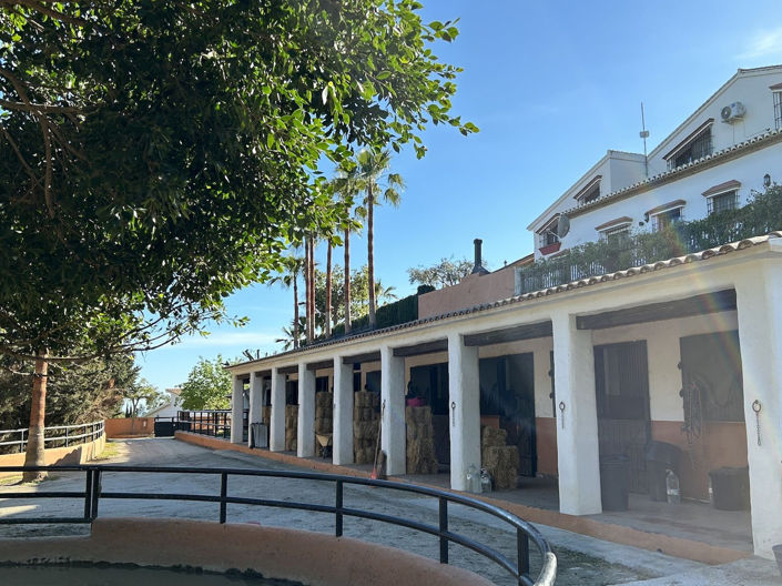 Image No.100-Propriété de 9 chambres à vendre à Frigiliana