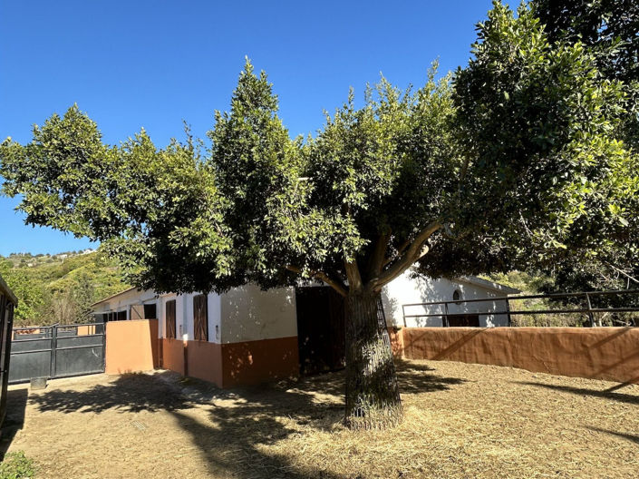 Image No.105-Propriété de 9 chambres à vendre à Frigiliana