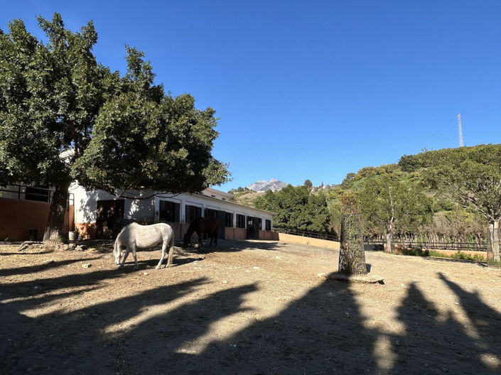 Image No.106-Propriété de 9 chambres à vendre à Frigiliana