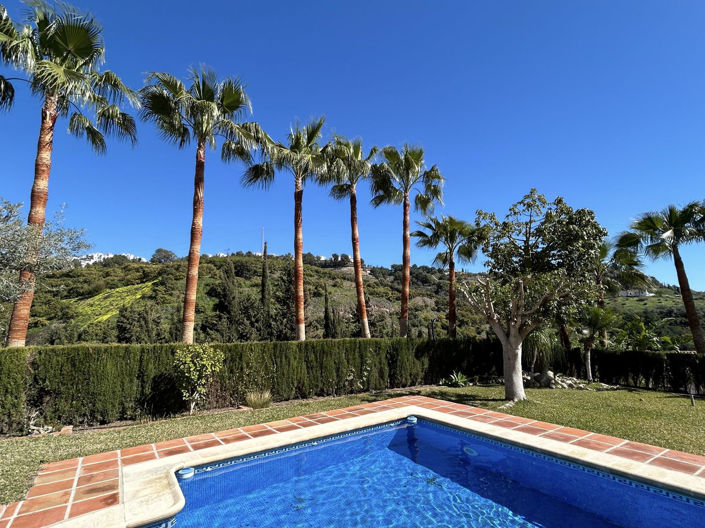 Image No.40-Propriété de 9 chambres à vendre à Frigiliana