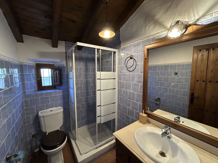 Image No.71-Propriété de 9 chambres à vendre à Frigiliana