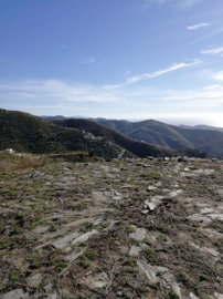 11-20939a0134ad724a8cb2a801094d15a4