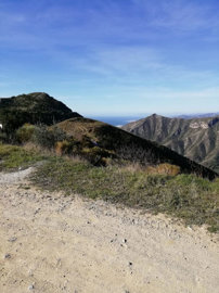 14-d70dc3102c00d7be0e872dfe1c1f86d7