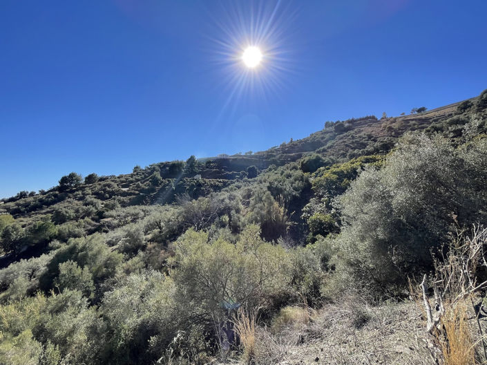 Image No.3-1 Bed Property for sale