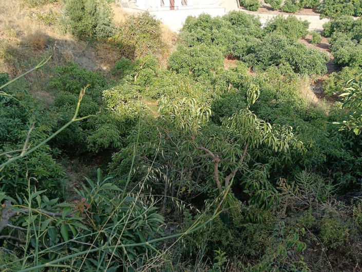 Image No.4-Property for sale