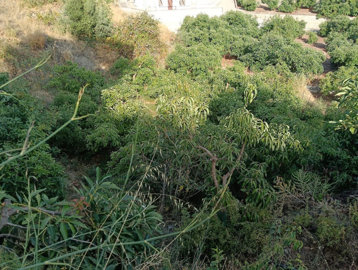 4-c23c0f86247804fa50226aecd8b0b2c8