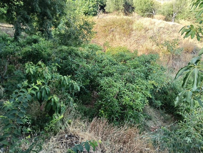 Image No.5-Property for sale