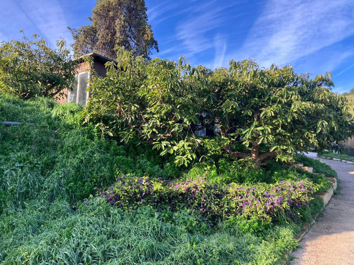 Image No.43-6 Bed Property for sale