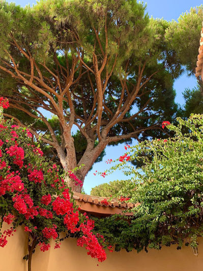 Image No.28-5 Bed Property for sale