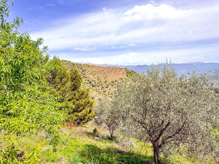 Image No.18-Propriété de 3 chambres à vendre à Arenas