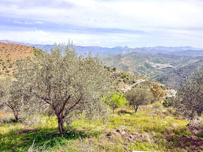 Image No.19-3 Bed Property for sale