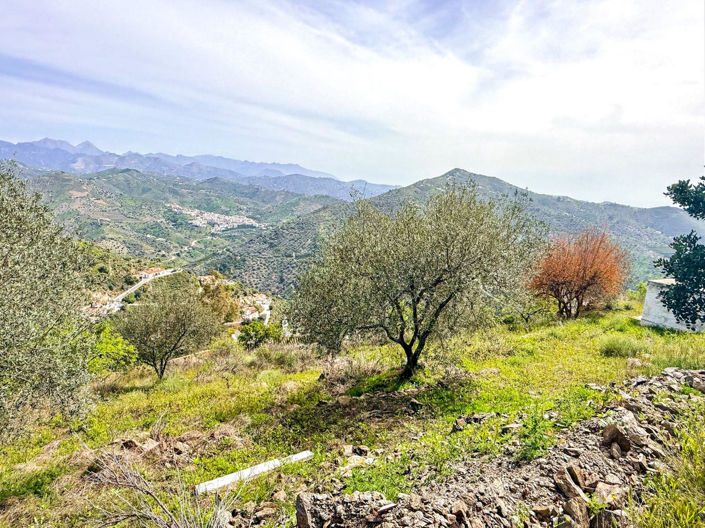 Image No.20-3 Bed Property for sale