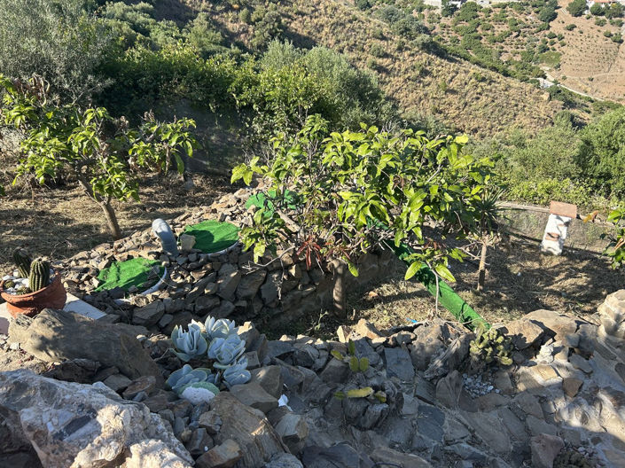 Image No.32-Propriété de 3 chambres à vendre à Torrox