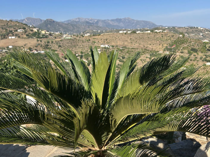Image No.4-Propriété de 3 chambres à vendre à Torrox